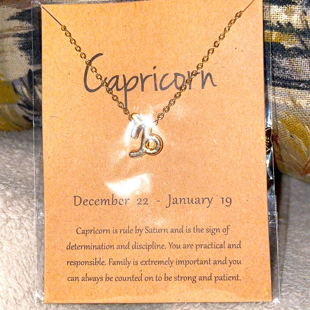 Capricorn Zodiac Sign Necklace, Gold, 16” chain